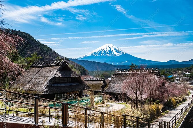 MT Fuji Sightseeing Customized Private Day Tour Up-to 9 Persons - Tour Highlights and Inclusions