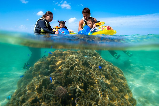 OK From 2 Years Old! / Sea Picnic & Snorkel