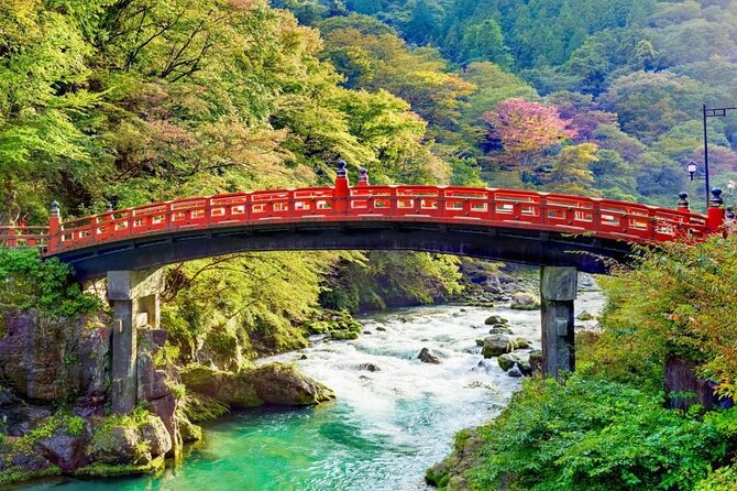 One Day Private Tour to Nikko With English Speaking Driver - Scenic Nikko Region Exploration