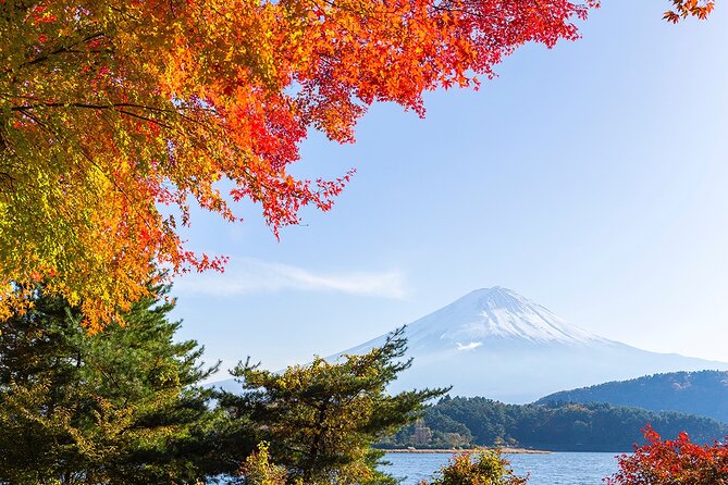 Private Mount Fuji and Hakone City Tour From Tokyo