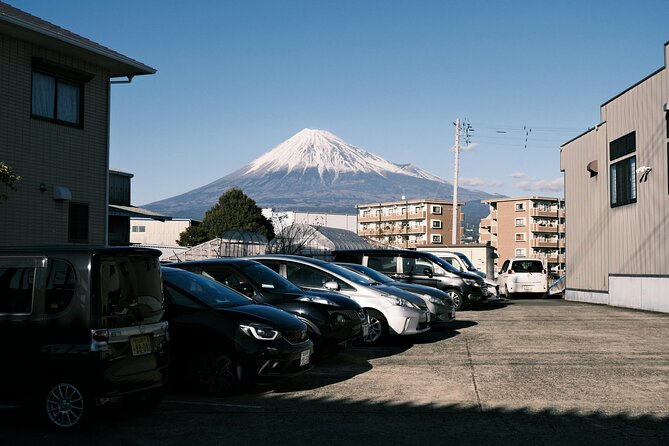 Private Sightseeing Tour to Mt Fuji and Hakone Guide