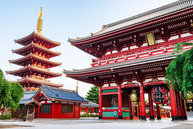 Private Tokyo Tour With Government Licensed Guide & Vehicle (Max 7 Persons) - Tour Overview and Inclusions