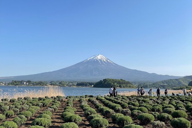 Private Tour to Mt Fuji and Hakone With English Speaking Driver