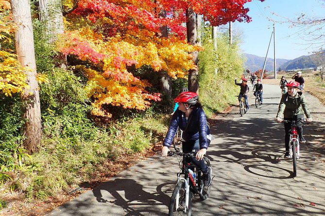 Short Morning Cycling Tour in Hida