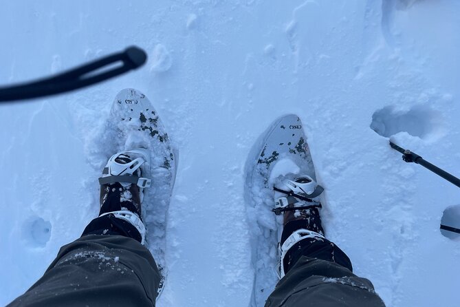 Snowshoeing and Onsen Adventures in a Winter Wonderland -Sapporo. - Snowshoeing in Hokkaidos Backcountry