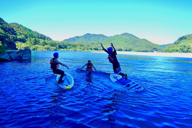 SUP Downriver Tour at Niyodo River