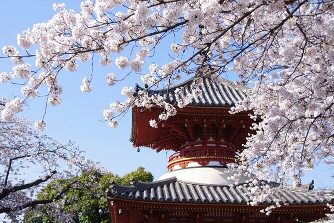 TOKYO OishiPark, Oshino & KoedoKawagoe, Fuji Mount