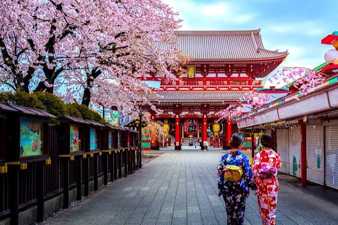 1-Day Private Tokyo Sightseeing Tour With Guide - Expert Guide Insights