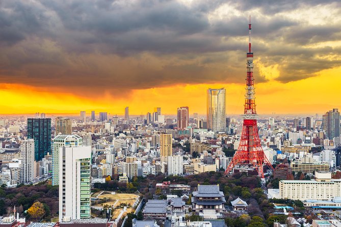 1-Day Tokyo Customizable Private English Speaking Guide Tour - Expert English Speaking Guides