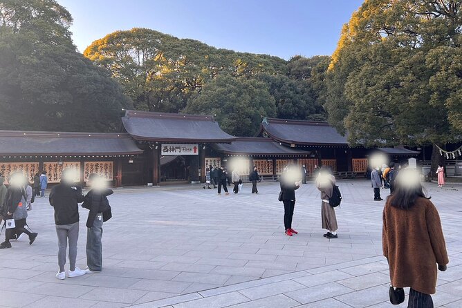 1 Hour Meiji Jingu Shrine Walking Tour in Harajuku - Tour Schedule and Timing