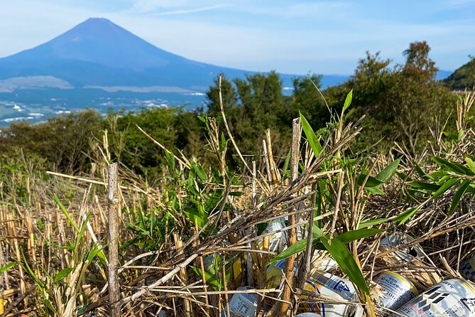 Aokigahara Nature Conservation Full-Day Hiking Tour - Hiking Trail Overview and Map