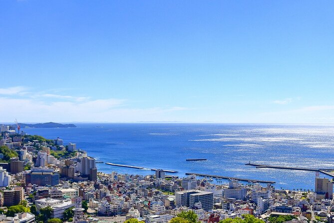 Atami Half-Day Private Tour With Government-Licensed Guide - Customizing Your Private Tour