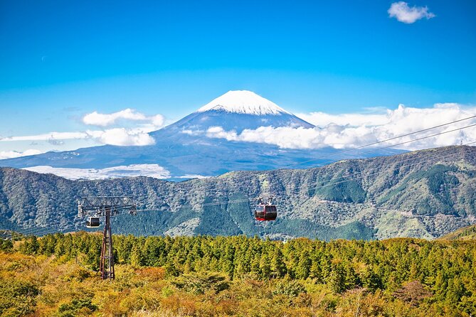 Best Mt Fuji and Hakone Full-Day Bus Tour From Tokyo - Tour Highlights and Inclusions