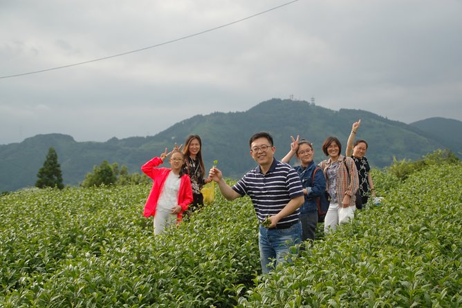 Experience Tea Picking With a Tea Farmer, and Tempura Lunch With Picked Tea Leaves - What to Expect on Tour