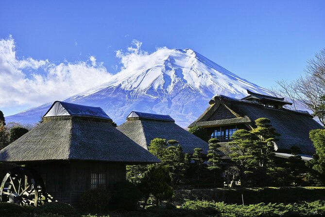 Full Day Private Tour to Mt Fuji by Luxury Vehicle - Unforgettable Mt Fuji Experience