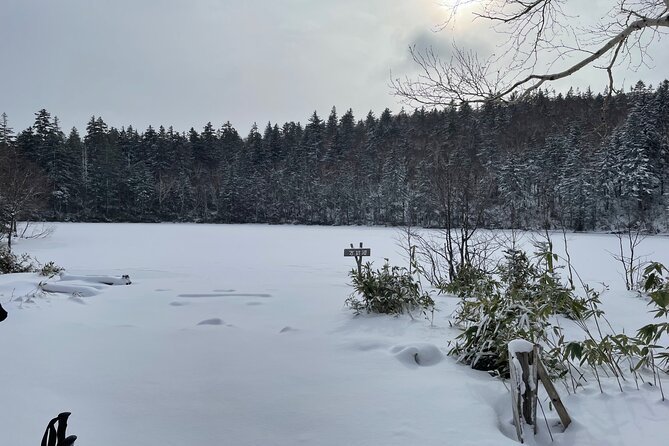 Full Day Snowshoeing Adventures With Onsen. - Exploring Hokkaidos Winter Wonderland