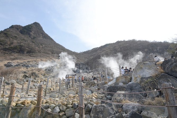 Hakone 8 Hour Private Tour With Government-Licensed Guide - What to Expect on Tour