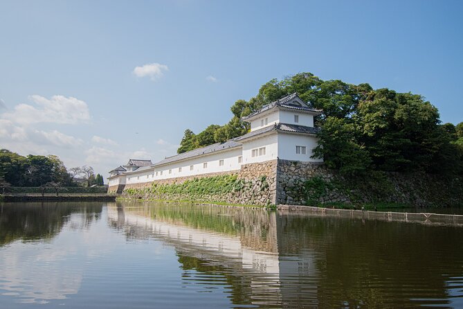 Hikone Bike Half-Day Tour Through a Castle Town Near Kyoto, Osaka - Meeting Point and Logistics