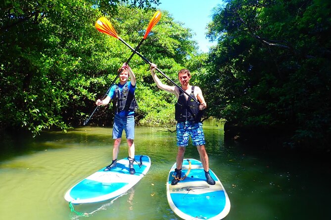 [Ishigaki]Mangrove SUP/Canoe + Blue Cave Snorkeling - SUP and Canoe Experience Details