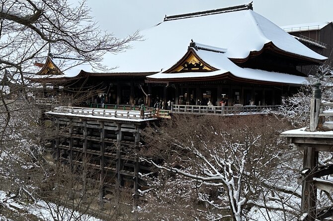 KYOTO Highlights With Private Car and Driver (Max 7 Pax) - Benefits of Private Transportation