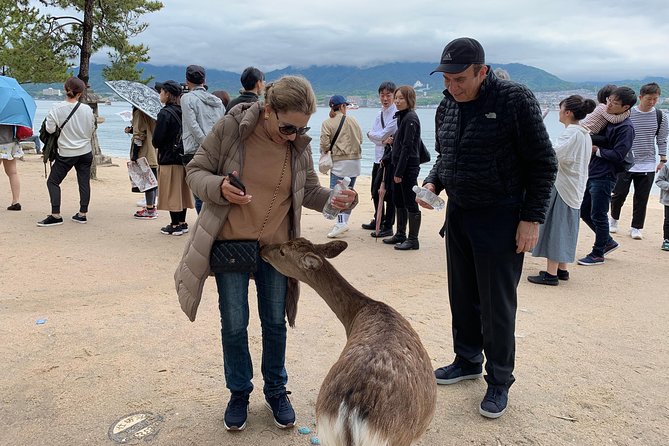 Miyajima Half-Day Private Tour With Government Licensed Guide - Customizable Itinerary Options