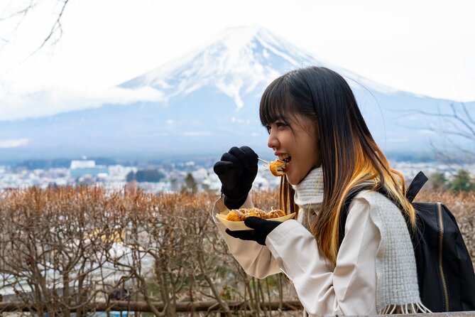 Mount Fuji Private Trip From Tokyo by Car/Van - in English - Private Vehicle and Driver Benefits