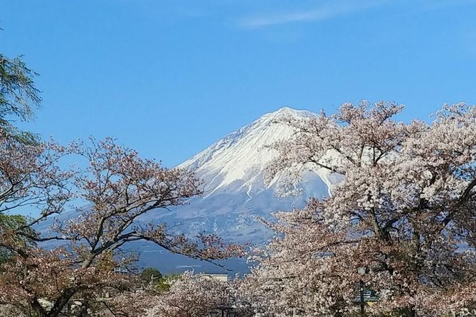 Mt.Fuji Chartered Taxi Tour - Accessibility and Convenience