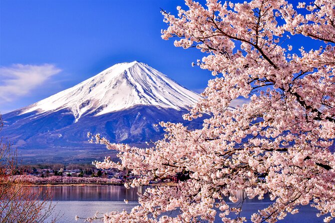 Mt. Fuji Cherry Blossom One Day Tour From Tokyo - Meeting and Pickup Points