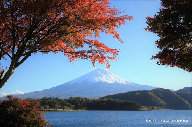 Mt.Fuji, Oishi Park & Arakurayama Sengen Park Bus Tour From Tokyo - Tour Schedule and Logistics