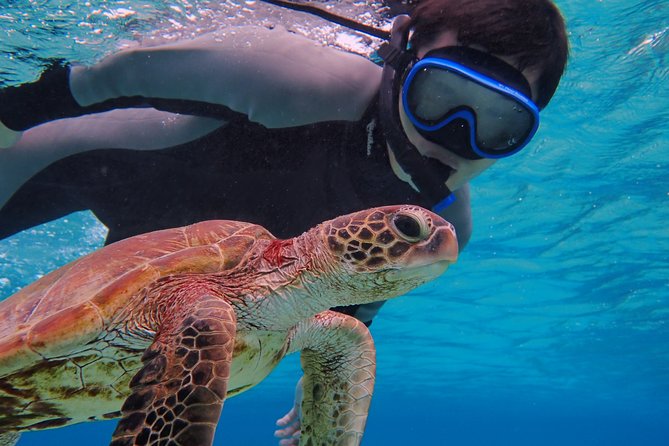 [Okinawa Miyako] SUP / Canoe + Sea Turtle Snorkeling !! (Half-Day Course) - What to Expect on Tour