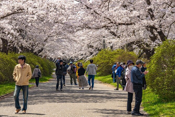 Private Hiroshima Cherry Blossom and Sakura Experience - Meeting and Ending Your Tour