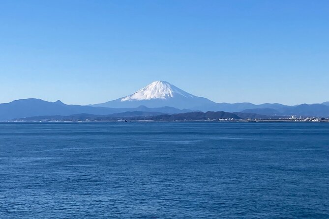 Private Kamakura and Enoshima Day Tour From Tokyo - Private Tour Inclusions and Exclusions