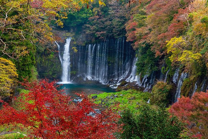 Private Mount Fuji and Hakone City Tour From Tokyo - Exploring Mount Fujis Beauty