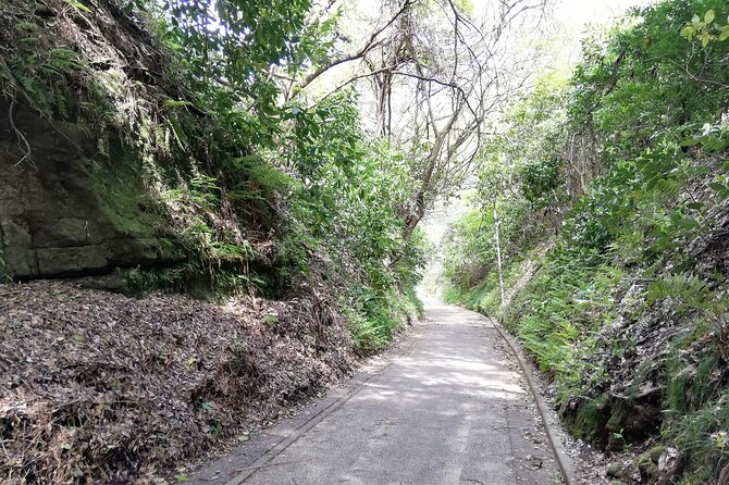 Private Tour From North Kamakura Temples & Shrine - What to Expect on Tour