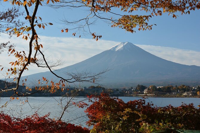 Private Tour to Mt Fuji and Hakone With English Speaking Driver - Private Transportation Benefits