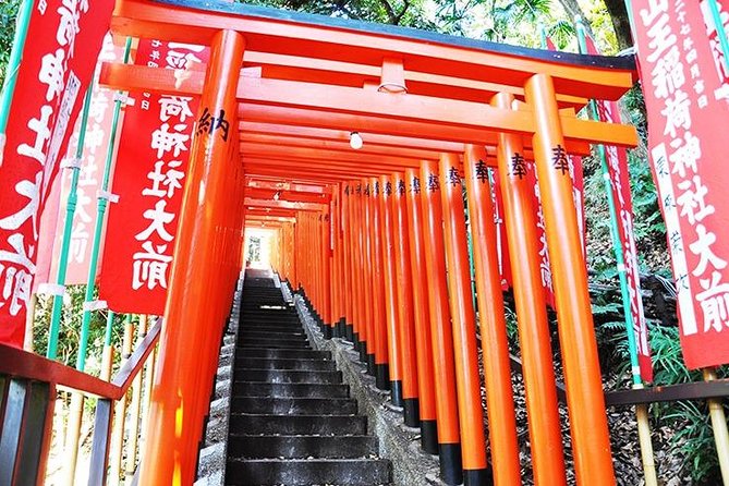 Tokyo off the Beaten Path 6hr Private Tour With Licensed Guide - What to Expect From Your Guide