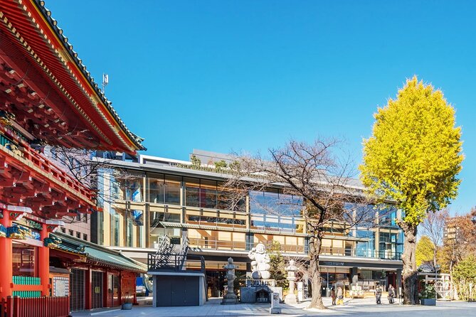 Traditional Rakugo, Juggling and Magic Show "Myojin Show Rakuza" - Accessibility and Inclusions