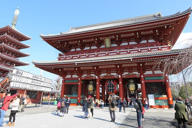 1-Day Tokyo Customizable Private English Speaking Guide Tour - Comfortable and Convenient Transport