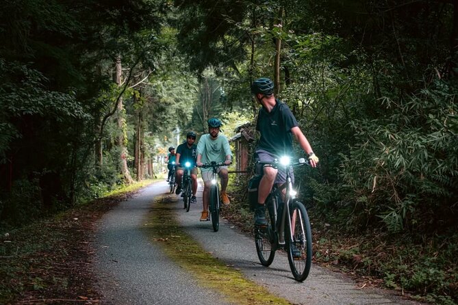 E-Bike Tour Through Old Rural Japanese Silver Mining Town - Scenic Routes and Breathtaking Views