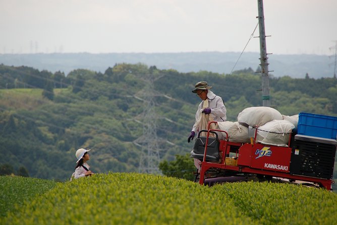 Experience Tea Picking With a Tea Farmer, and Tempura Lunch With Picked Tea Leaves - Meeting and Ending Points