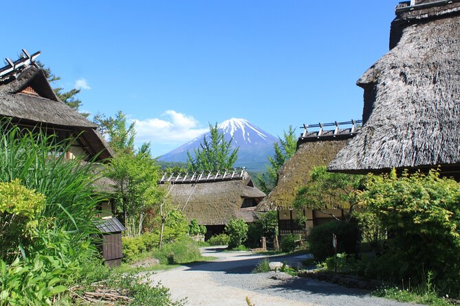 Fuji Spiritual Private Tour With Lunch and Dinner - What to Expect From the Tour