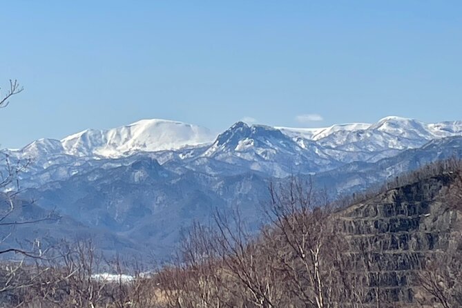 Full Day Snowshoeing Adventures With Onsen. - Essential Gear and Equipment