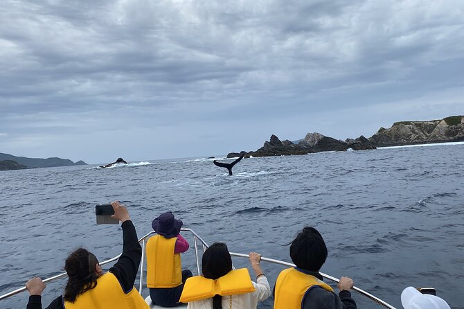 Great Whale Watching at Kerama Islands and Zamami Island - Whale Watching Tour Highlights