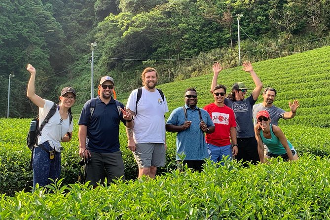 Guided Bike Tour to a Green Tea Farm in Shizuoka (Not E-Bikes) - Important Health and Safety