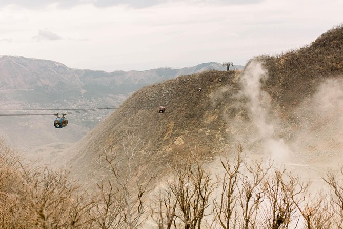 Hakone Private Two Day Tour From Tokyo With Overnight Stay in Ryokan - Ryokan Accommodations and Meals