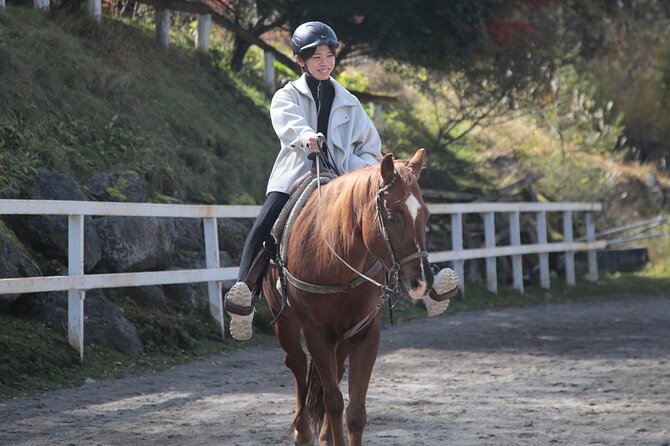 Horse Riding Experience in Nature Rich Lake Shirakaba - Whats Included in the Fee