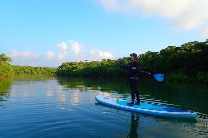 [Ishigaki]Mangrove SUP/Canoe Tour - Meeting Point and Pickup