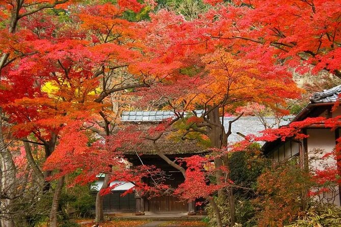 Kamakura Private Photoshoot Tour ( Optional Kimono Wearing ) - Private Tour Benefits and Notes