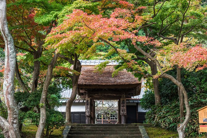 Kamakura Tour - Meeting and Pickup Information