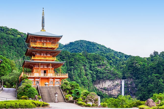 Kumano Kodo Pilgrimage Tour With Licensed Guide & Vehicle - What to Expect on Tour